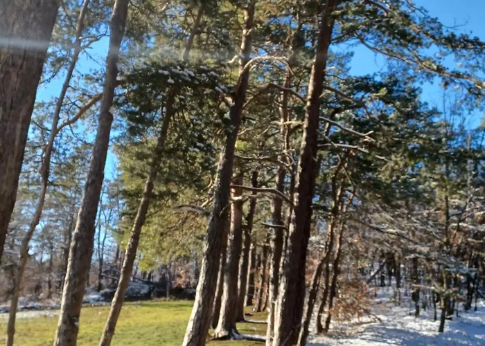 Гостевой дом T1 Cosy 